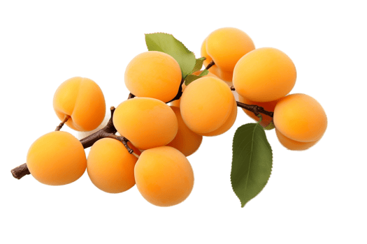 AI generated Apricots on Transparent Background. AI png