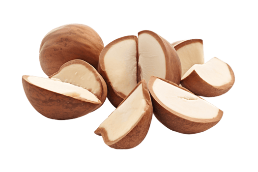 AI generated Brazil Nut on Transparent Background. AI png