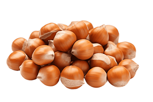 AI generated Hazelnut on Transparent Background. AI png