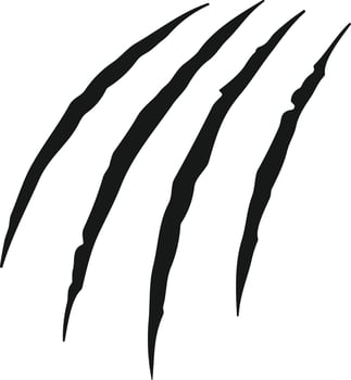animal Claw scratch mark. Cat tiger dog lion and bear scratches paw shape. vector Illustration