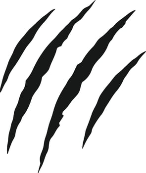 animal Claw scratch mark. Cat tiger dog lion and bear scratches paw shape. vector Illustration