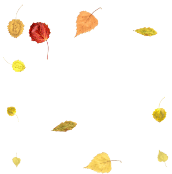 Bright autumn background from falling leaves. png