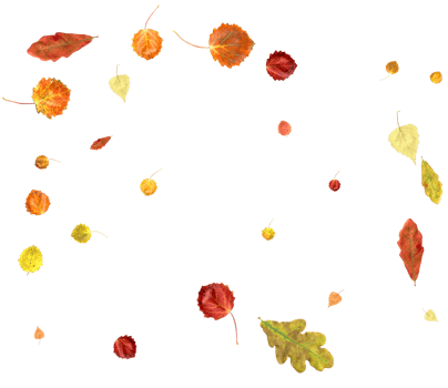 Falling autumn leaves. png