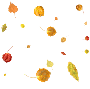 Autumn nature background of falling leaves. png