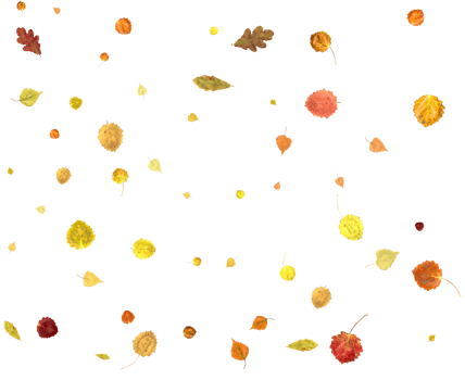 Natural autumn leaves. png