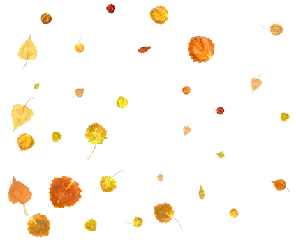 Colorful autumn texture from falling leaves. png