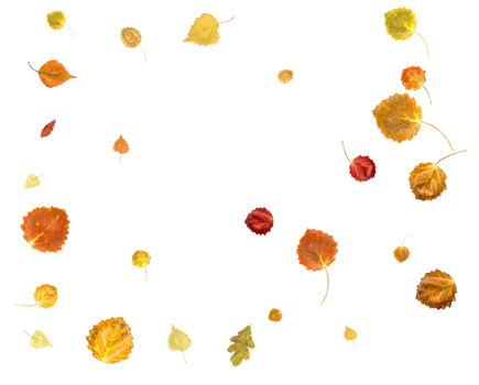 Bright autumn digital paper made from falling leaves. png