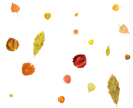 Colorful autumn backdrop of falling leaves png