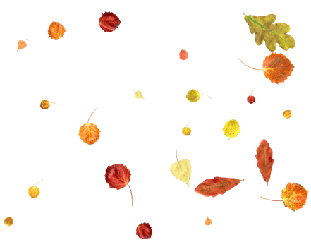 Falling autumn leaves. png