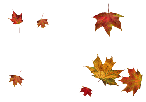 Backdrop with autumn maple leaves png
