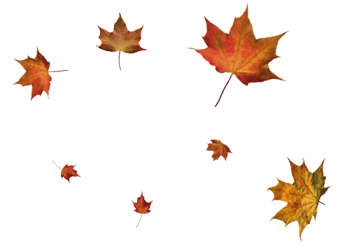 Digital paper with maple leaves. png