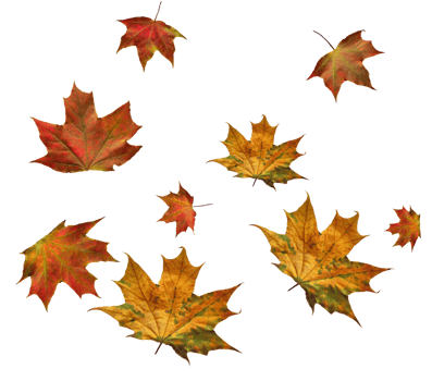 Digital paper with flying maple leaves. png