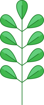 Green Leaf Icon png