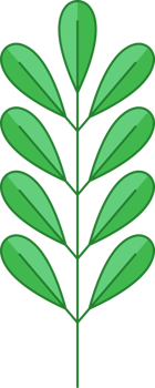 Green Leaf Icon png