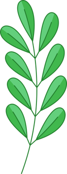 Green Leaf Icon png