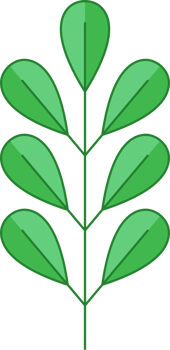 Green Leaf Icon png