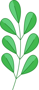 Green Leaf Icon png