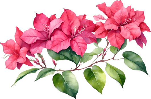 AI generated Watercolor painting of Bougainvillea flower. Ai-Generated png
