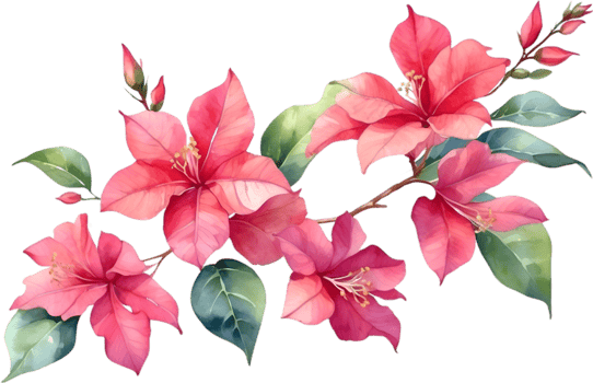 AI generated Watercolor painting of Bougainvillea flower. Ai-Generated png