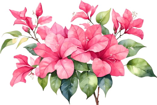 AI generated Watercolor painting of Bougainvillea flower. Ai-Generated png