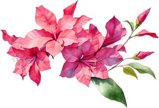 AI generated Watercolor painting of Bougainvillea flower. Ai-Generated png