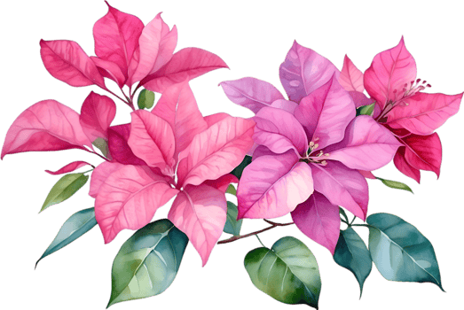 AI generated Watercolor painting of Bougainvillea flower. Ai-Generated png