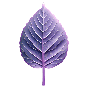 AI generated Leaf Icon symbol 3d isolated on transparent background png