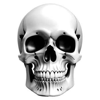 AI generated Human skull medical illustration, 3d rendering of human body png