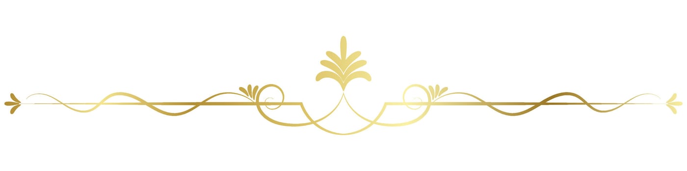 vintage lines decorative s Golden flower border collection vector