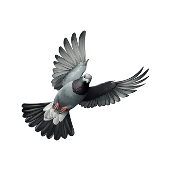 AI generated Flying pigeon isolated on transparent background png