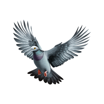 AI generated Flying pigeon isolated on transparent background png