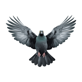 AI generated Flying pigeon isolated on transparent background png