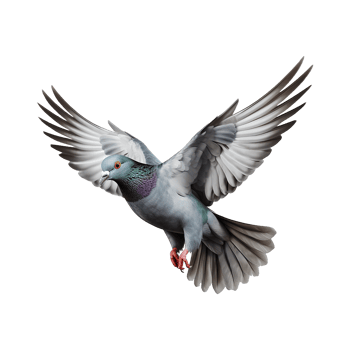AI generated Flying pigeon isolated on transparent background png
