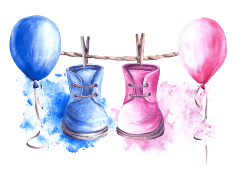 Baby pink, blue booties, shoes with clothesline, clothes pegs, air balloons and watercolor splashes. Painted illustration for baby shower birthday gender reveal party watercolor stains background png