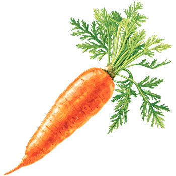 AI generated Fresh carrot isolated png