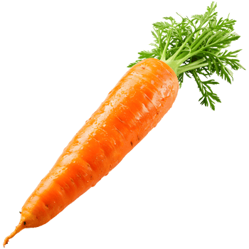 AI generated Fresh carrot isolated png