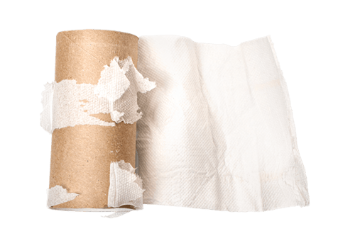 Empty Towel Paper Roll png
