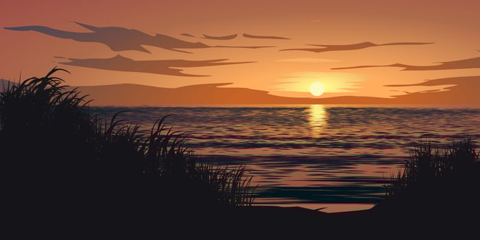 Beautiful tropical beach landscape with grass in silhouette vector