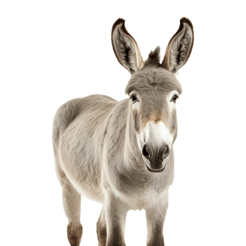 AI generated A Donkey isolated on transparent background png