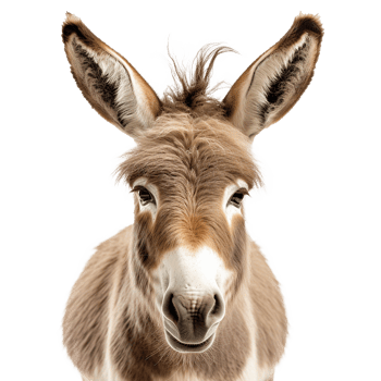 AI generated A Donkey isolated on transparent background png