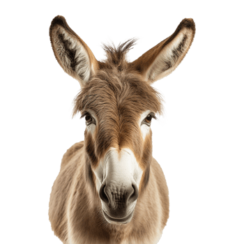 AI generated A Donkey isolated on transparent background png