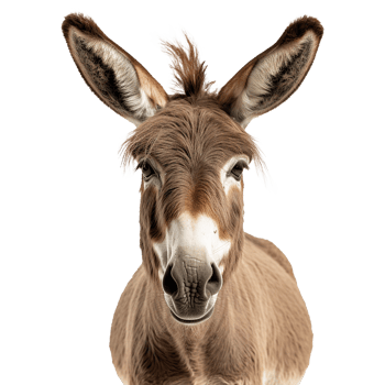 AI generated A Donkey isolated on transparent background png