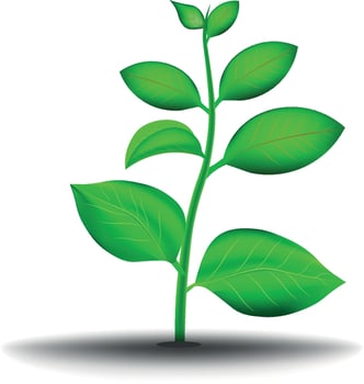 Green Leaves Vector