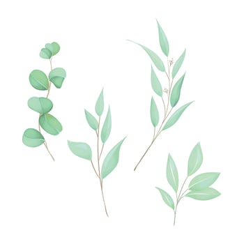 Vector set of watercolor leaves on white background
