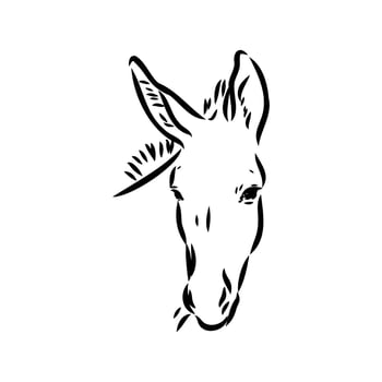 donkey vector sketch