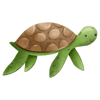 Hand drawn illustration of a sea turtle. Character from the underwater world. Cute baby illustration on isolated background png