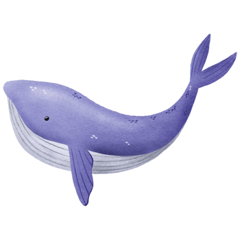 Hand drawn illustration of sea fish. Big whale fish. Blue whale. Hand drawn illustration on isolated background png
