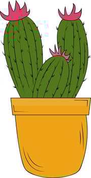 Cactus in a pot on a white background. The cactus illustration can be used as a print, home or garden decoration. Design of greeting cards, posters, patches, prints on clothes, emblems. Flower. vector