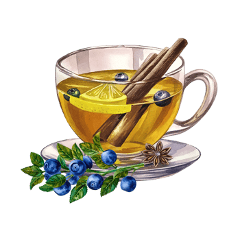 Tea with blueberries, cinnamon and lemon. Blueberry branch. Hand drawn watercolor illustration. For packaging, banners and flyers. For textiles, prints, stickers. For menus, invitation cards. png