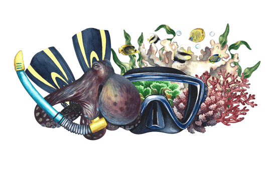 Diver mask with fins and snorkel next to octopus in coral and sea fish. Hand painted with watercolors. Underwater trip. For packaging, cards and banners, flyers and brochures. For printing stickers. png